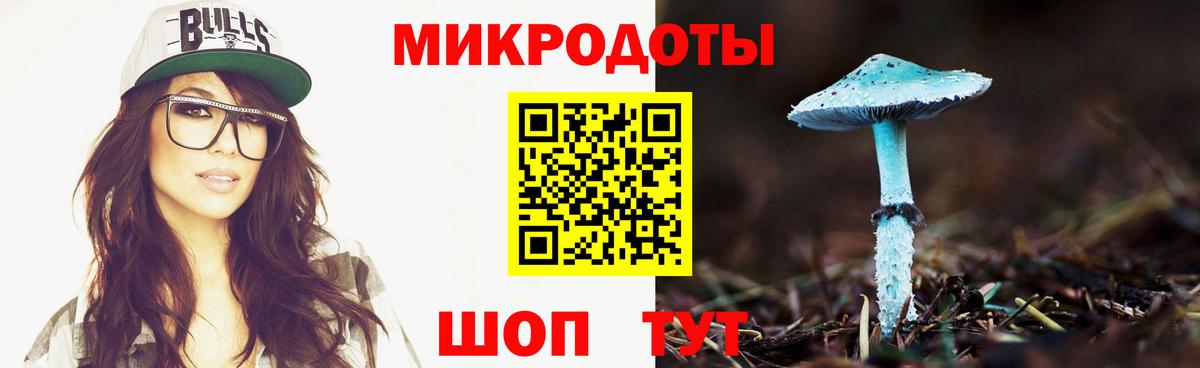 Псилоцибиновые грибы Cubensis  Вход с VPN  Галлюциногенные грибы мицелий  Ноябрьск 